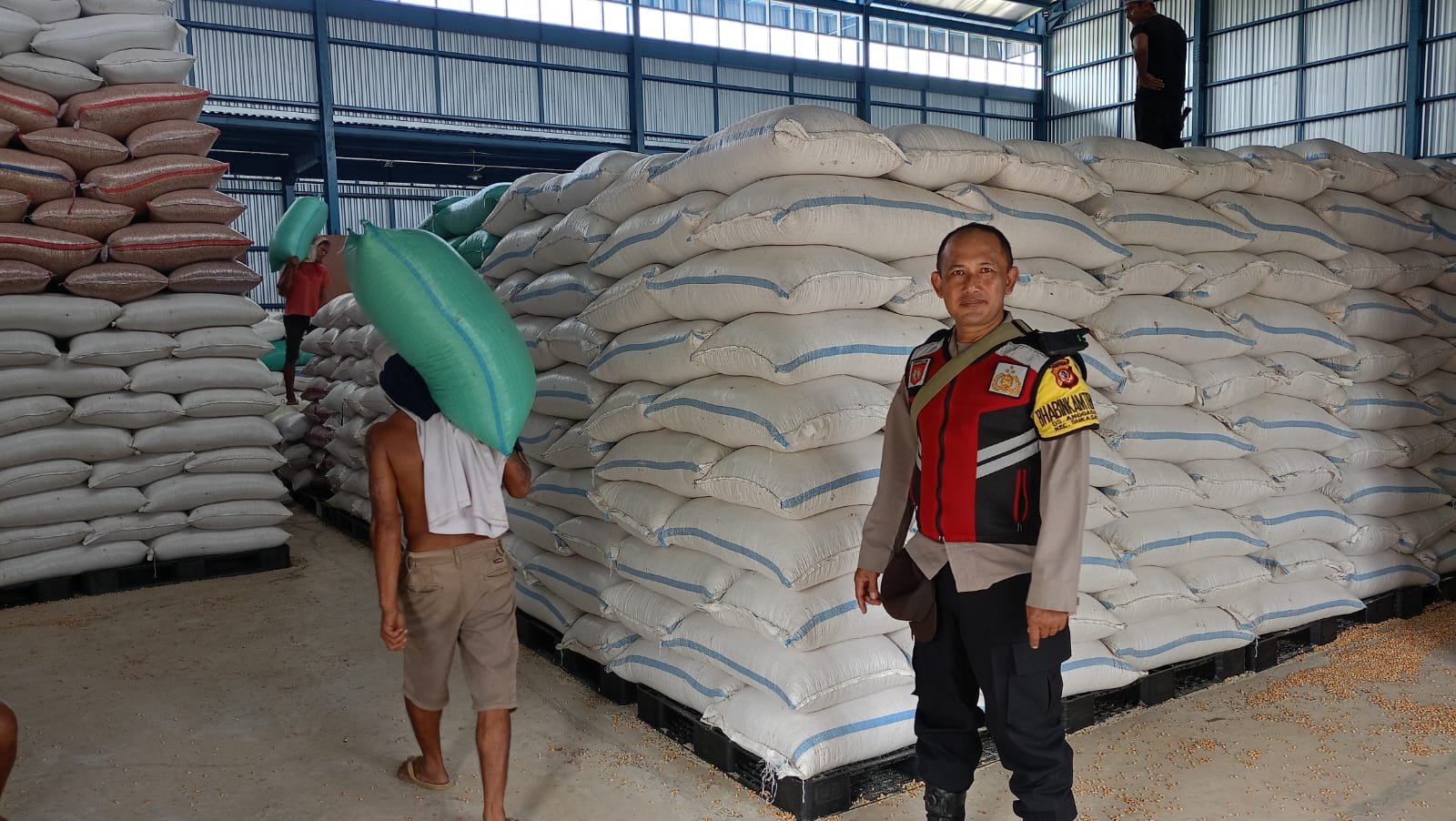 Polsek Ciasem Cek Stok Jagung Pascapanen dan Tinjau Lahan Binaan, Dukung Ketahanan Pangan Nasional