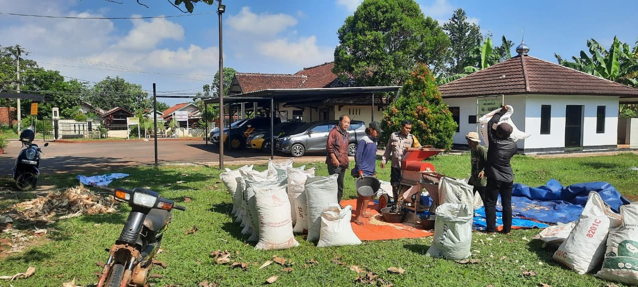 Polres Subang Dukung Ketahanan Pangan Polri Melalui Kegiatan Pemipihan dan Panen Jagung